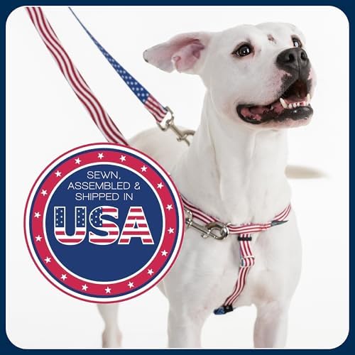 2 Hounds Design Freedom No Pull Dog Harness, 5/8 inch MD, Neon Orange - Image 6