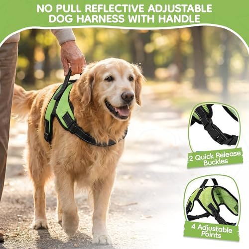 No Pull Reflective Adjustable Dog Harness - Image 2