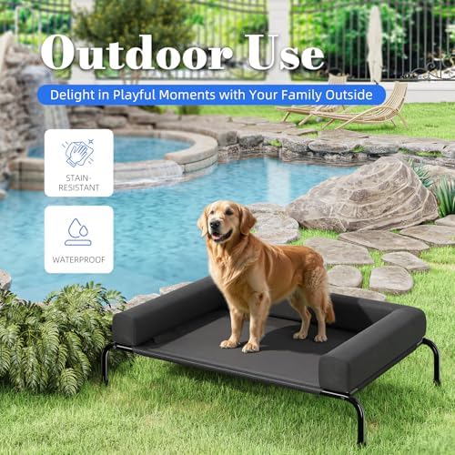 Simple Trending Elevated Dog Bed - Image 4