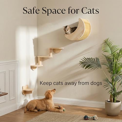 Cat Wall Shelves, Solid Wood Moon Bed, 3-Step Ladder & Perch - Image 4