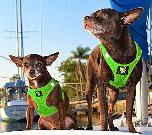 EcoBark Premium Dog Harness - Image 4