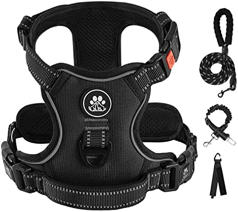 IVY&LANE No Pull Dog Harness for Small Dogs, Reflective Dog Vest Harness by IVYLANE