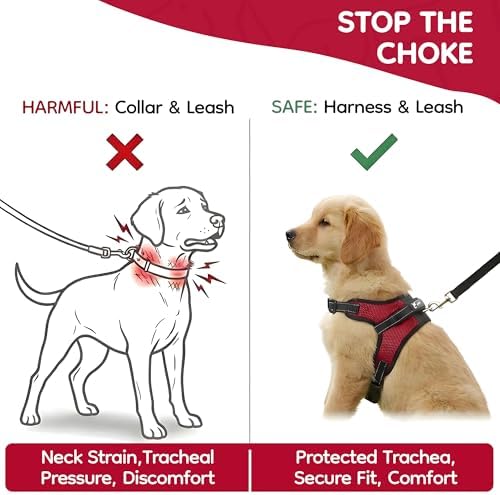 No Pull Reflective Adjustable Dog Harness - Image 5