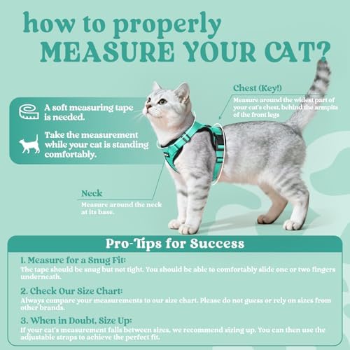 rabbitgoo Cat Harness and Leash Set, Escape Proof Vest - Image 2