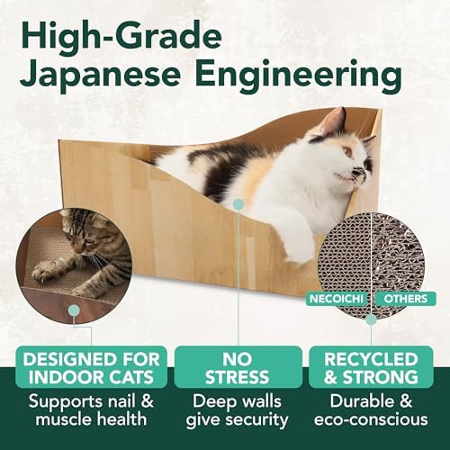 Hideaway Cat Scratcher Box for Indoor Cats - Image 4