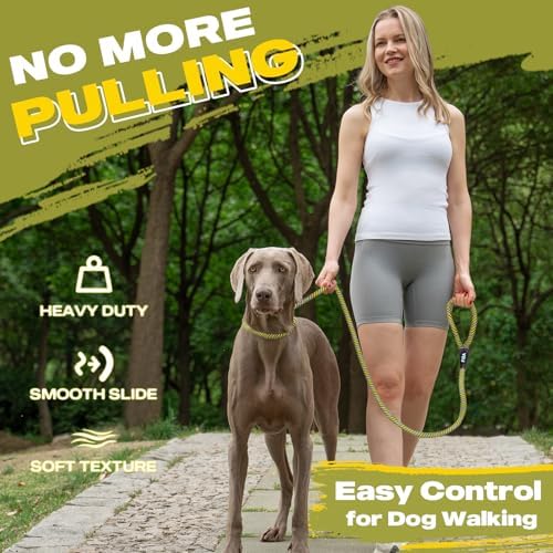 Fida Durable Slip Lead Dog Leash, 6 FT x 1/2" Dog Training Leash - Image 2