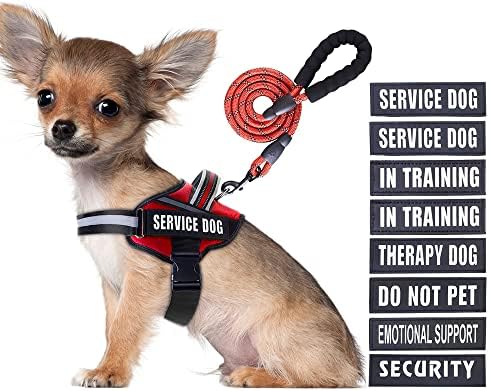 Service Dog Vest Harness and Leash Set, Animire in Training Dog Harness by Animire