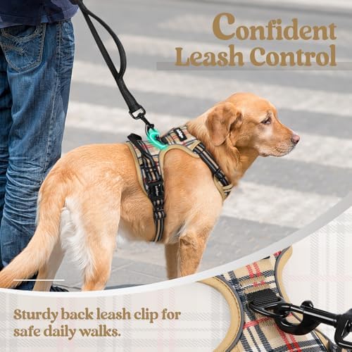 rabbitgoo Dog Harness, No Pull Medium Sized - Image 6
