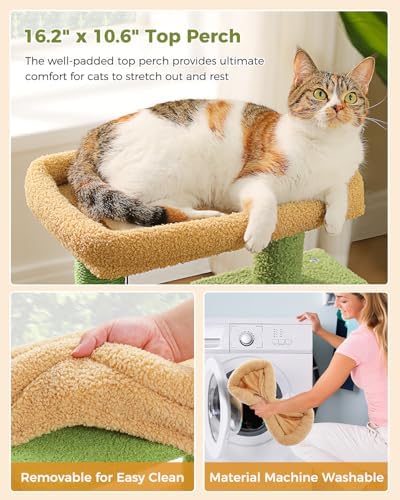 Small Cat Tree for Kittens, 32 in Cat Tower - Image 7