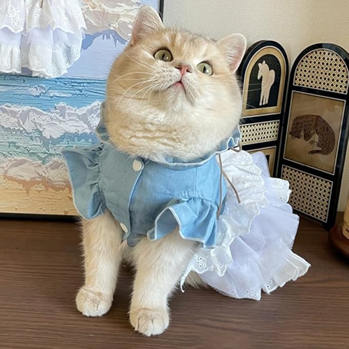 Girl Dog Denim Dress with Flared Sleeves Dog Jeans Jacket Blue White Puppy Clothes for Small Dogs Cat Apparel Cake Skirt Pet Outfit (Blue, Medium)