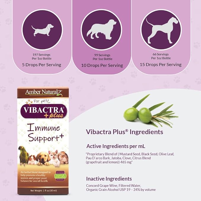 Amber NaturalZ Vibactra Plus Herbal Supplement for Dogs, Cats, Birds, Guinea Pigs, and Rabbits | Herbs for Immune Health and Yeast Balance | 1 Fluid Ounce Glass Bottle