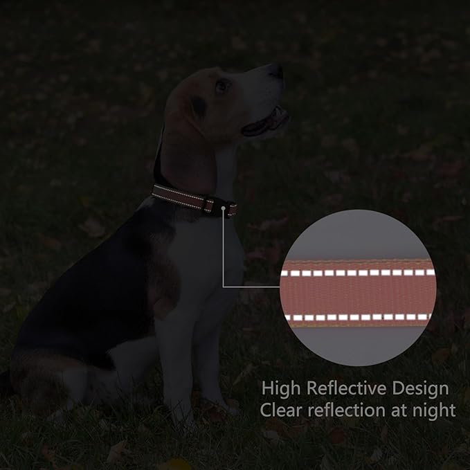 Reflective Dog Collar Padded with Soft Neoprene Breathable Quick Release Basic Dog Collars for Medium Large Dogs Coral