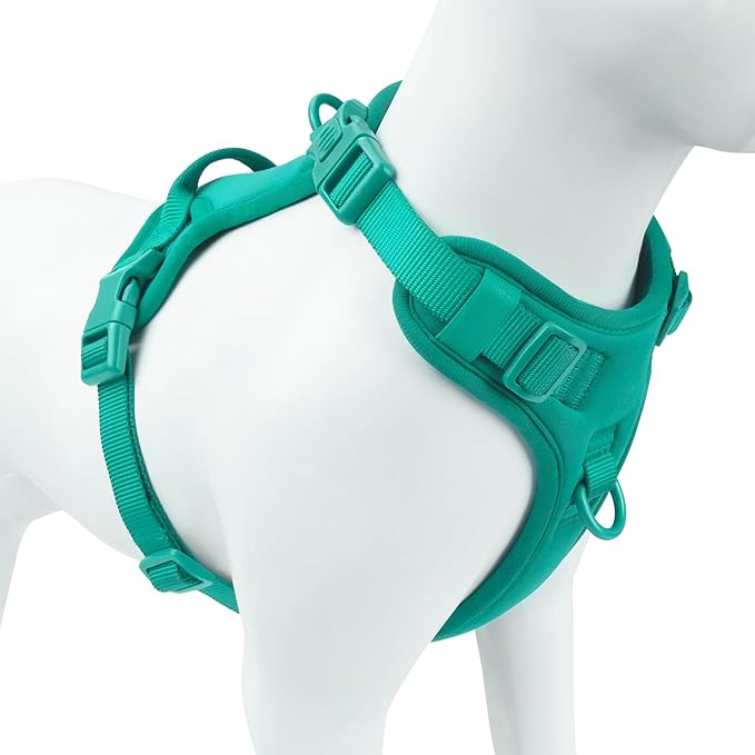No Pull Dog Harness, Puppy Vest with Front Clip for Small Medium Large Sized Dog(MARRS Green,M)