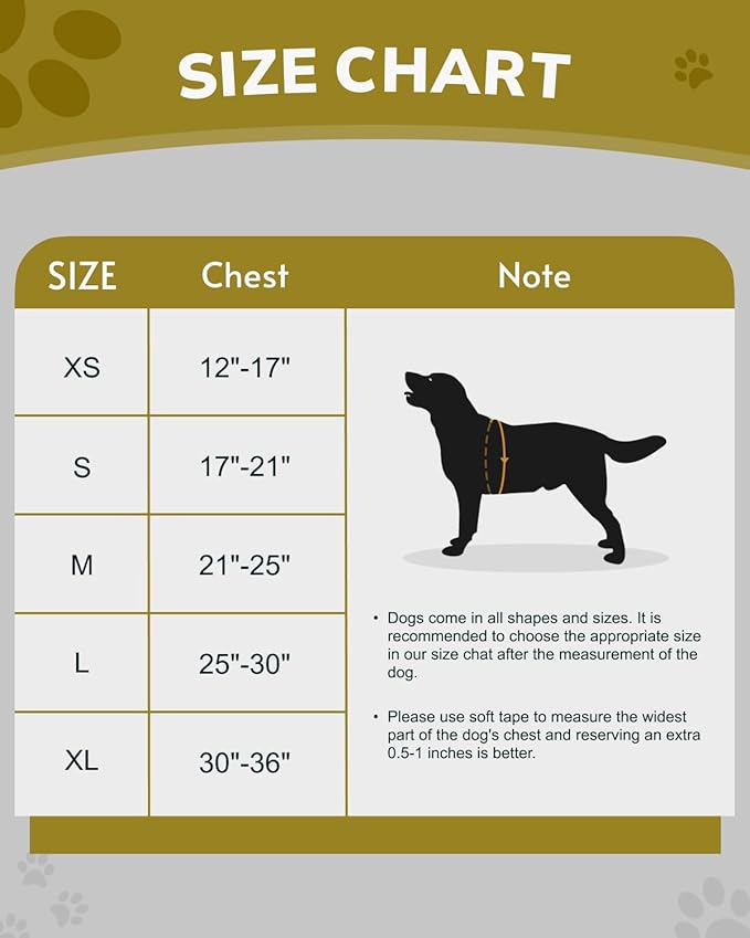 MIDOG No-Pull Dog Harness | Adjustable & Reflective Pet Harness Leash Set for Small Medium Large Dogs Walking, Training| No Choke, Front Clip, Soft Padded Vest with Easy Control Handle - Purple, S