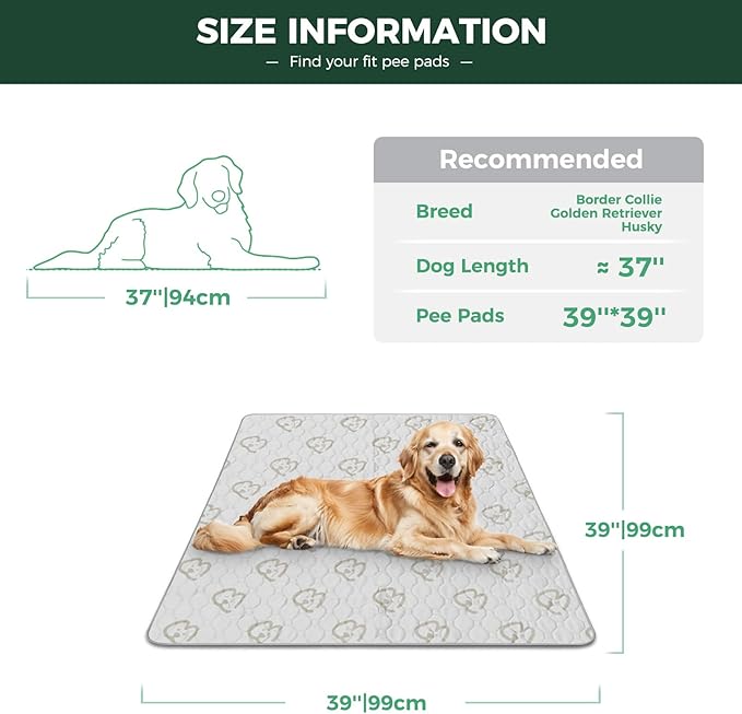 FXW Washable Pee Pads for Dogs, Puppy Pads with Super Absorbent, Specifically Designed for Potty Training, Square, 39" x 39", 2 Packs