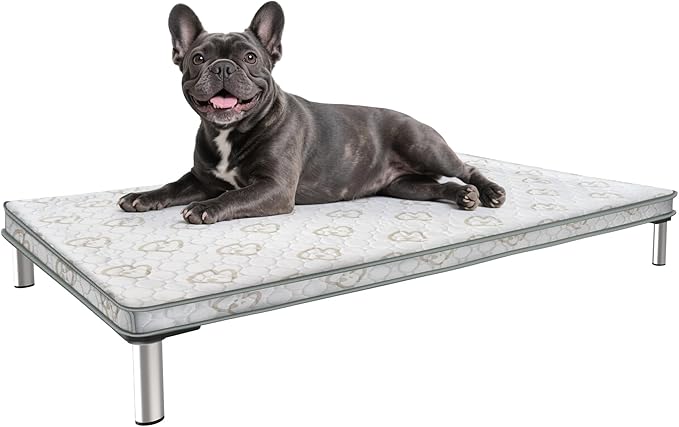FXW TitanNest Chew-Proof Elevated Dog Bed, Raised Cot for Indoor/Outdoor/Camping Use, Durable & Washable Padded Pet Bed with Exclusive Reuseable Cover for Small Dogs, 36.0" L x 24.0" W x 4.5" H, Gray