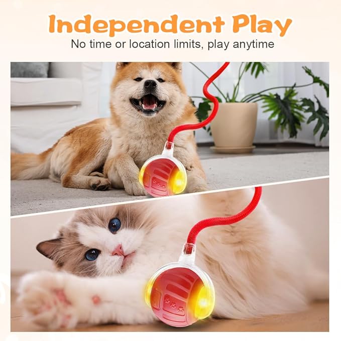 2026 New Interactive Pet Toy Ball, Smart Interactive Toy Ball for Cats & Dogs, Electric Rolling Pet Toy Ball, Rechargeable Interactive Cat Toys for Bored Indoor Cats Kittens to Keep Busy (Gray)