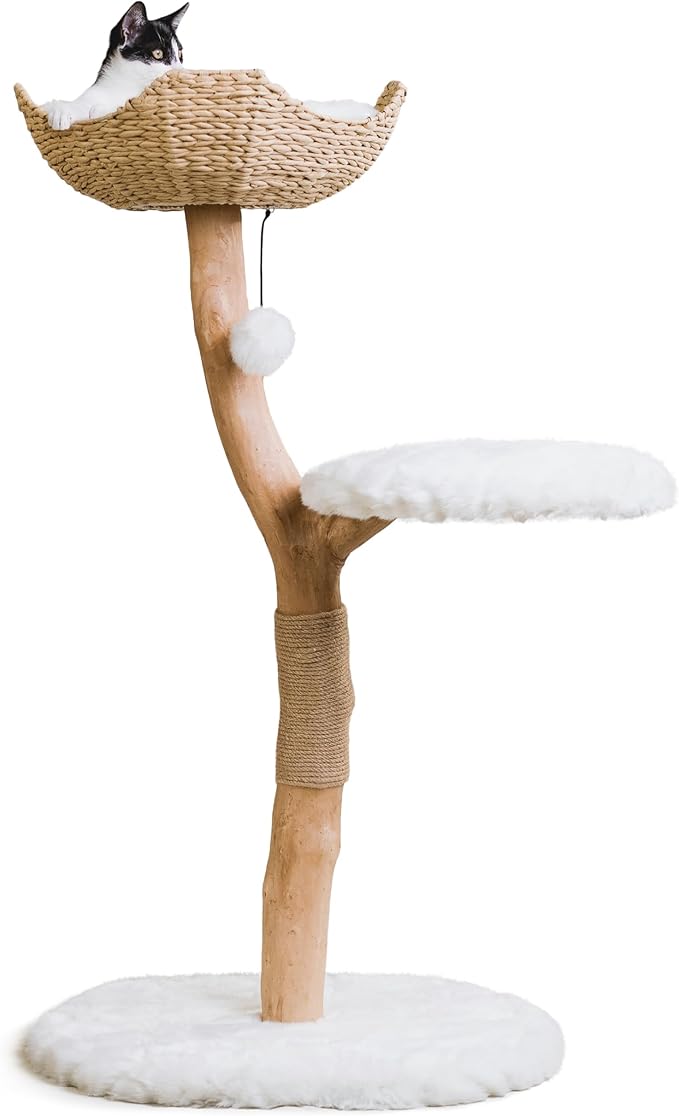 Wooden Cat Climbing Tree Tower, Modern Single Branch Cat Condo, Wood, Cat Lover Furniture Gift by MAU LIFESTYLE (Alpine White)