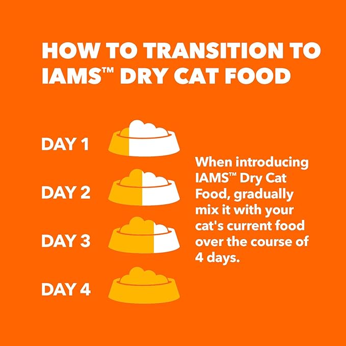 IAMS Proactive Health Adult Sensitive Digestion & Skin Dry Cat Food with Turkey, 6 lb. Bag