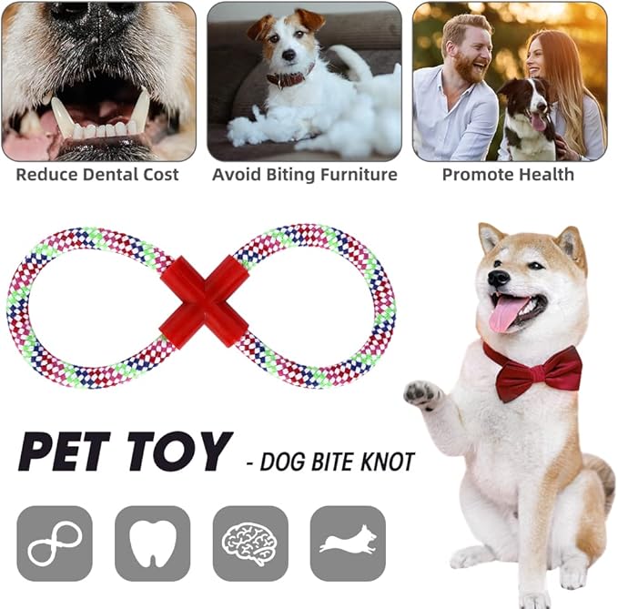 Dog Stairs&Steps for High Beds Up to 28'', 5-Step Dog Ramp for Small Medium Dogs with Washable Cover, Pet Steps for Cats to Get on Couch and Sofa, Durable Foam Ladders, 24.4" Tall, Grey