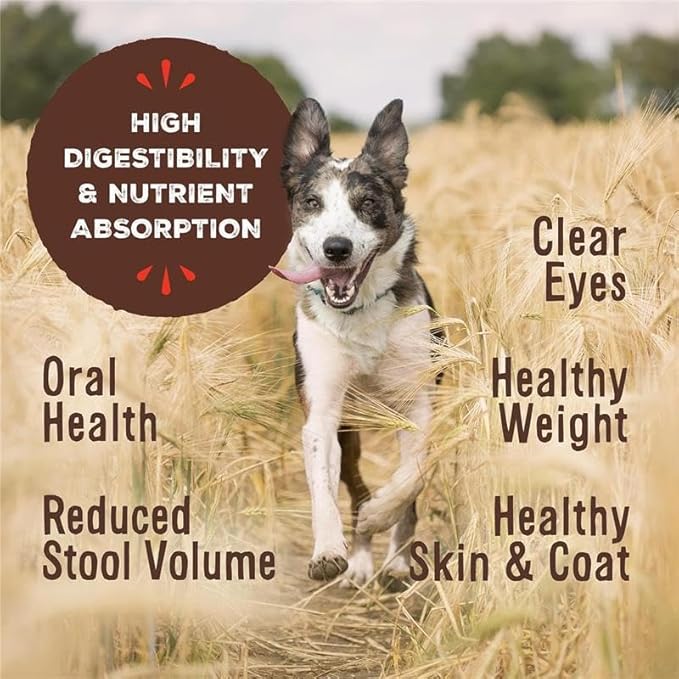 Primal Freeze Dried Raw Dog Food Nuggets, Beef, Complete & Balanced Meal, Also Use as Topper or Treat, Premium, Healthy, Grain Free, High Protein Raw Dog Food, 5.5 oz