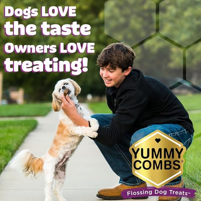 Dog Dental Treats – Vet VOHC Approved, Removes Tartar & Cleans Teeth – Yummy High Protein Chicken Treat for Extra Small Dogs (Mini Pack, 30 Count)