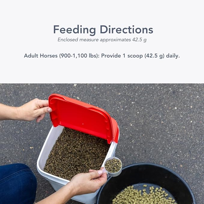 Gastro-Plex (6 lb) Supports Gut Health and Hindgut Digestion in Horses