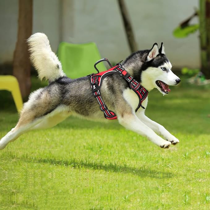 PoyPet No Pull Dog Harness, No Choke Front Clip Reflective Dog Vest with Soft Padded Vertical Handle, 3 Leash Attachments for Small Medium Large Dogs (Red,XL)
