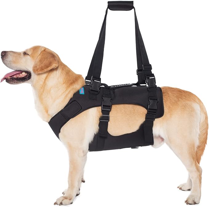 Dog Lift Harness, Rehabilitation Lifts Vest for Dogs, Support & Recovery Sling, Adjustable Breathable Lifting Straps for Old, Joint Injuries, Arthritis, Paralysis Dogs Walk (S, Black)