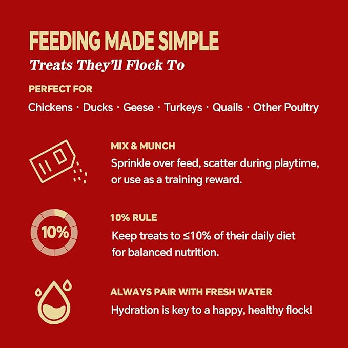 Dried Black Soldier Fly Larvae, Non-GMO, Natural Chicken Treats & High-Protein Poultry Snacks for Backyard Chickens, Laying Hens & Ducks, 10 lb Box