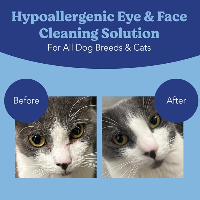 ANGELS' EYES Gentle Tear Stain & Pet Eye Wipes for All Dogs & Cats Textured Grooming Wipes Remove Discharge & Mucus, Reduce Tear Stains, Hypoallergenic with Aloe & Chamomile, 100ct