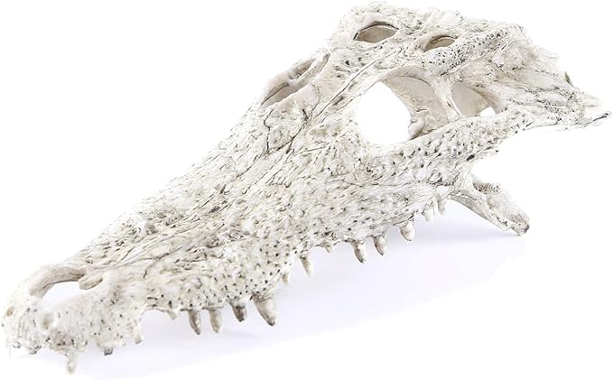 Animal Skull Fish Aquarium Hideout Decorations Cave Dinosaur Reptile Ornament Halloween Décor for Terrarium Large Betta Decor Bones
