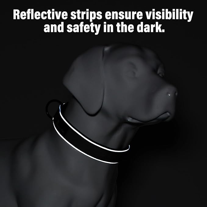 Plutus Pet Tactical Dog Collar, Reflective, Adjustable Heavy Duty Dog Collar, Soft Padded and Comfortable, for Small Medium and Large Dogs (Beige, XL)