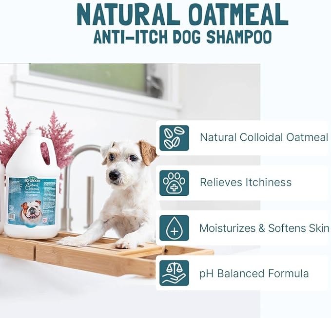 Bio-Groom Oatmeal Dog Shampoo – for Allergies and Itching, Cruelty-Free, Dog Bathing Supplies, Puppy Shampoo for Sensitive Skin, Made in USA, Anti-Itch Dog Products – 32 fl oz 1-Pack