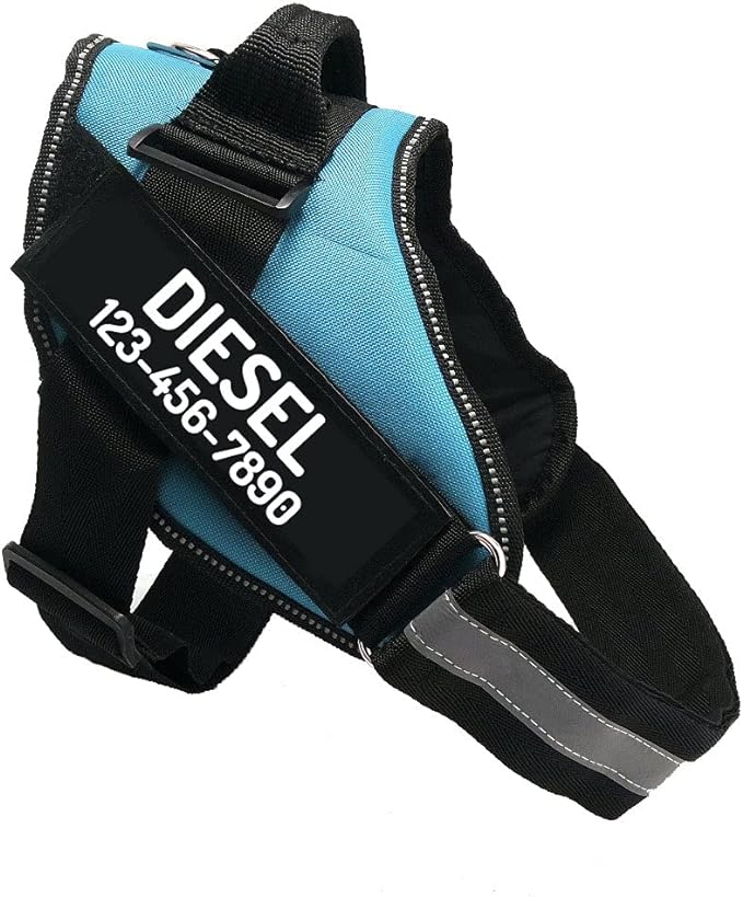 PawPawify Custom No Pull Dog Harness with Name and Phone Number, Heavy Duty Personalized Pet Vest to Prevent Tugging, Pulling, or Choking, Training and Walking (SkyBlue, M (20-40 LBS))
