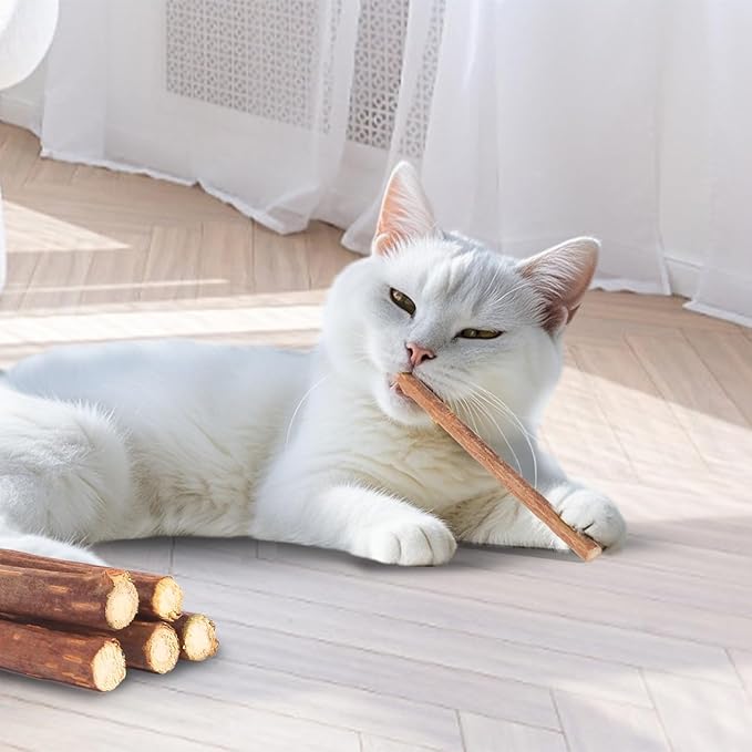 Cat Toys Cat Chew Toys, Silvervine Sticks Catnip Rope Toys for Cats Teeth Cleaning, Kitten Dental Care, Kitty for Indoor Cats Increase Appetite,Enhances Oral & Dental Health (20 Pack)