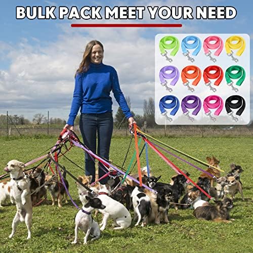 Hillban 24 Pack Nylon Dog Training Leash Bulk 5 ft, Vibrant Colors - Image 5