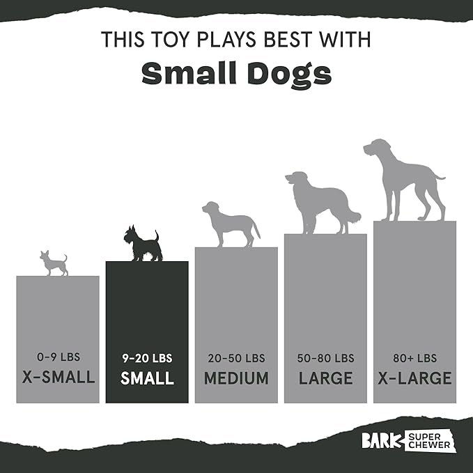 Barkbox Super Chewer Tough Dog Chew Toys for Aggressive Chewers, Plush 2 Toys in 1 (Potato - Small)