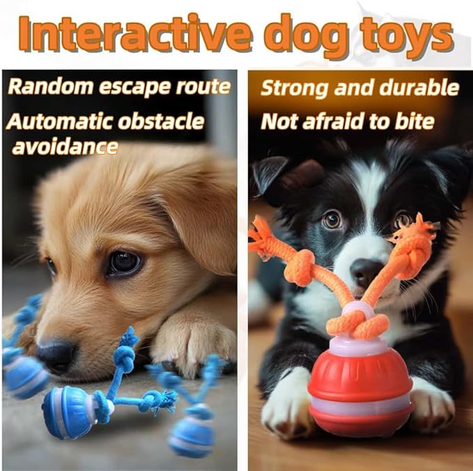 Interactive Dog Toys, Squeaky Dog Toys, Active Rolling Ball for Puppy and Medium Dogs, Squeaky, USB Rechargeable (Blue)