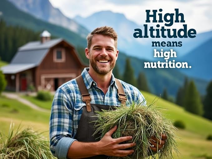 Blue Mountain Hay High-Altitude Teff Grass Hay, 50lb Easy Flake Box - Low NSC & High Fiber for Easy Digestion and Weight Management - Ideal for Horses, Goats, Rabbits, Guinea Pigs & Other Small Pets