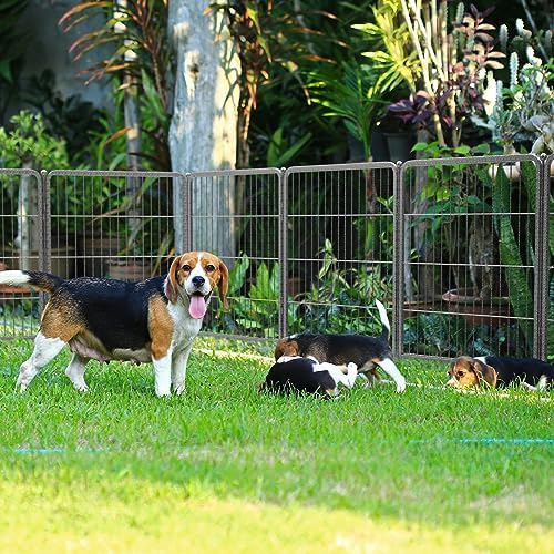 FXW Aster Dog Playpen Designed for Yard, 24 Panels - Image 2