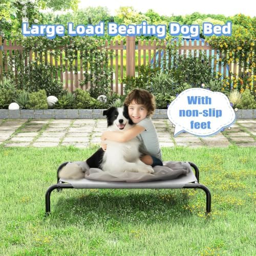 Simple Trending Raised Dog Bed for Small Dogs, Elevated Dog Cot - Image 3