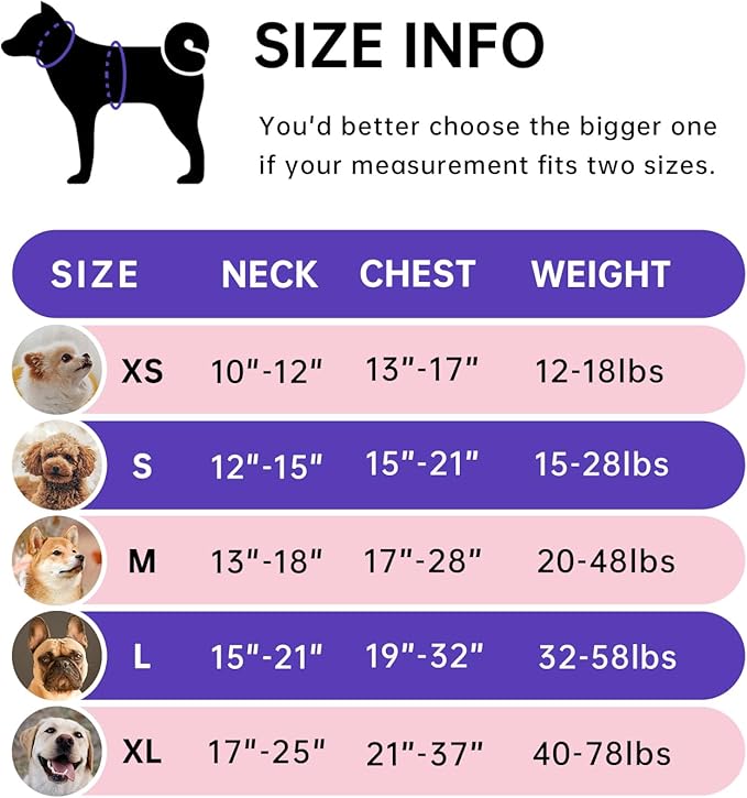 IVY&LANE No Pull Dog Harness with Leash Set, Reflective No Choke Pet Vest,Adjustable Oxford Dog Vest Harness with Easy Control Handle for Small Dogs (Checkered Pink,S)