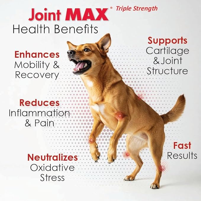 TS Joint Supplement Vet Formulated Pain & Inflammation Relief Treats Hip Dysplasia & Arthritis, Glucosamine, Chondroitin, Turmeric, MSM, HA, Creatine, Omega 3 EPA + DHA.120 Soft Chews
