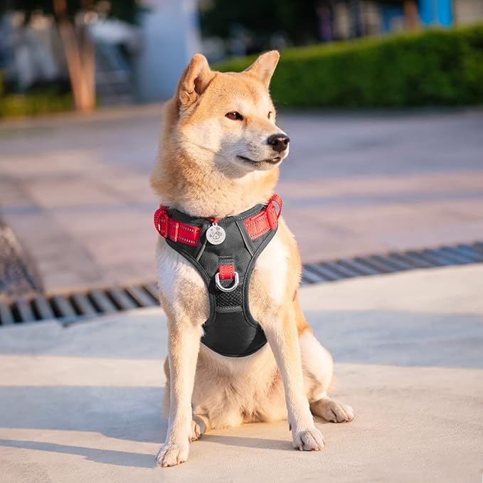 PHOEPET No Pull Dog Harness, Unique Colors Reflective Adjustable Dog Vest, with Soft Training Handle Metal Clips for Small Medium Large Dogs (Black Base & Red Straps,XL)