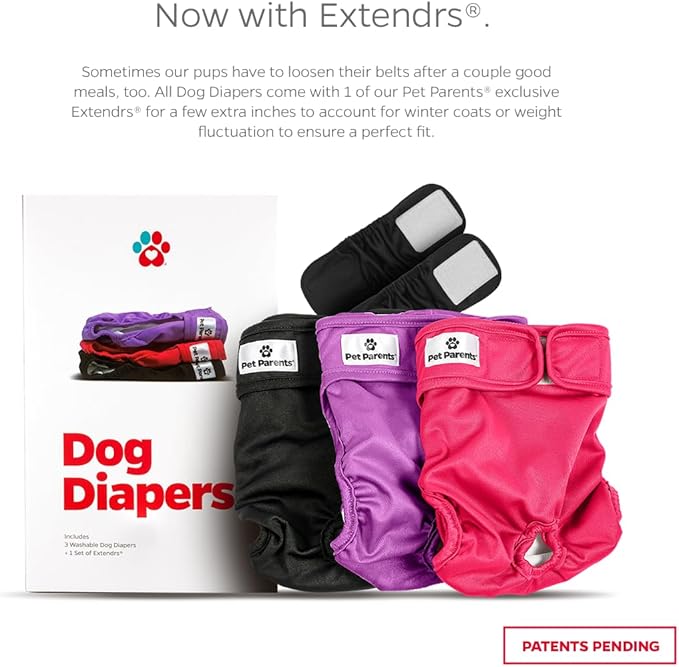 Pet Parents® Washable Dog Diapers (3pack) + Extendrs® of Durable Doggie Diapers, Premium Dog Diapers Female (Large, Princess)