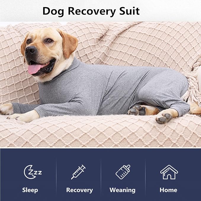 Dog Recovery Suit, Abdominal Wound After Surgery Wear, Prevent Licking Wounds, E-Collar & Cone Alternatives, Long Sleeve Postoperative Shirts Dog Bodysuit Prevent Shedding(2XL, Grey)