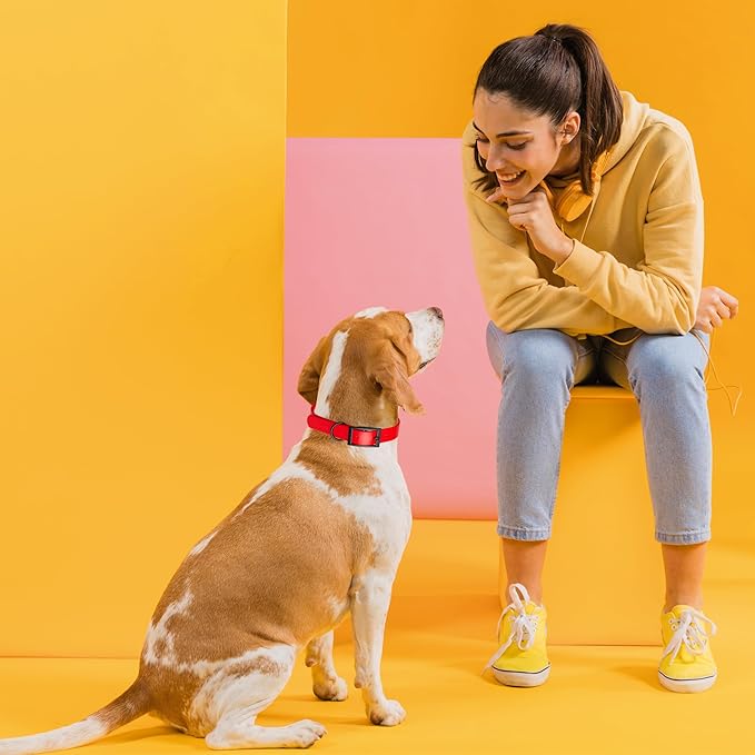 Dogline Biothane Waterproof Dog Collar Strong Coated Nylon Webbing with Black Hardware Odor- Proof for Easy Care Easy to Clean High Performance Fits Small Medium or Large Dogs, Cherry Red