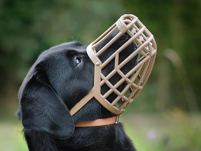 Leather Brothers Italian Basket Dog Muzzle, Adjustable Secure Fit, Comfortable Design, Training and Safety, Averts Biting, Prevents Chewing and Scavenging, Perfect for Grooming - Tan, Size 2