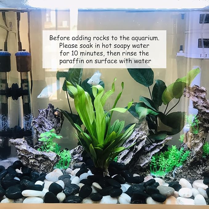 20lb Black River Rocks - 2-3 inch Polished Pebbles for Plants, Decorative Stones for Large Planters, Landscaping, Vases, Aquariums & Fish Tanks